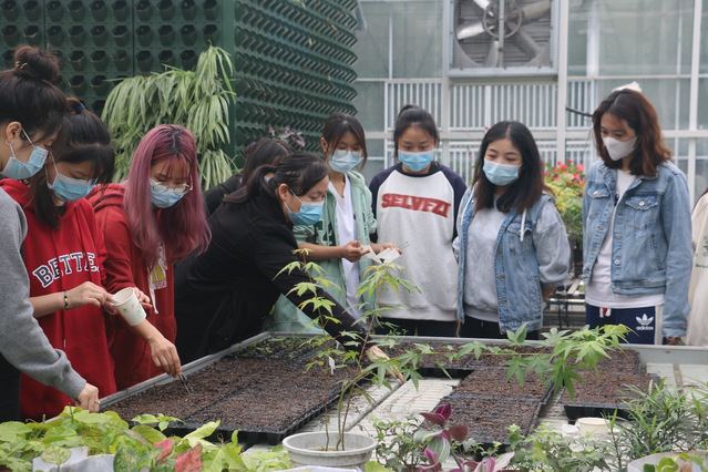 园林环艺专业党支部园林花卉苗木生产创新基地联合开展与党相伴劳动