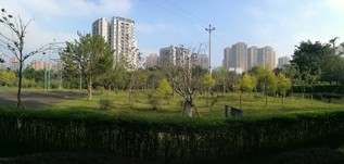 【实训室简介】工程管理学院实训...