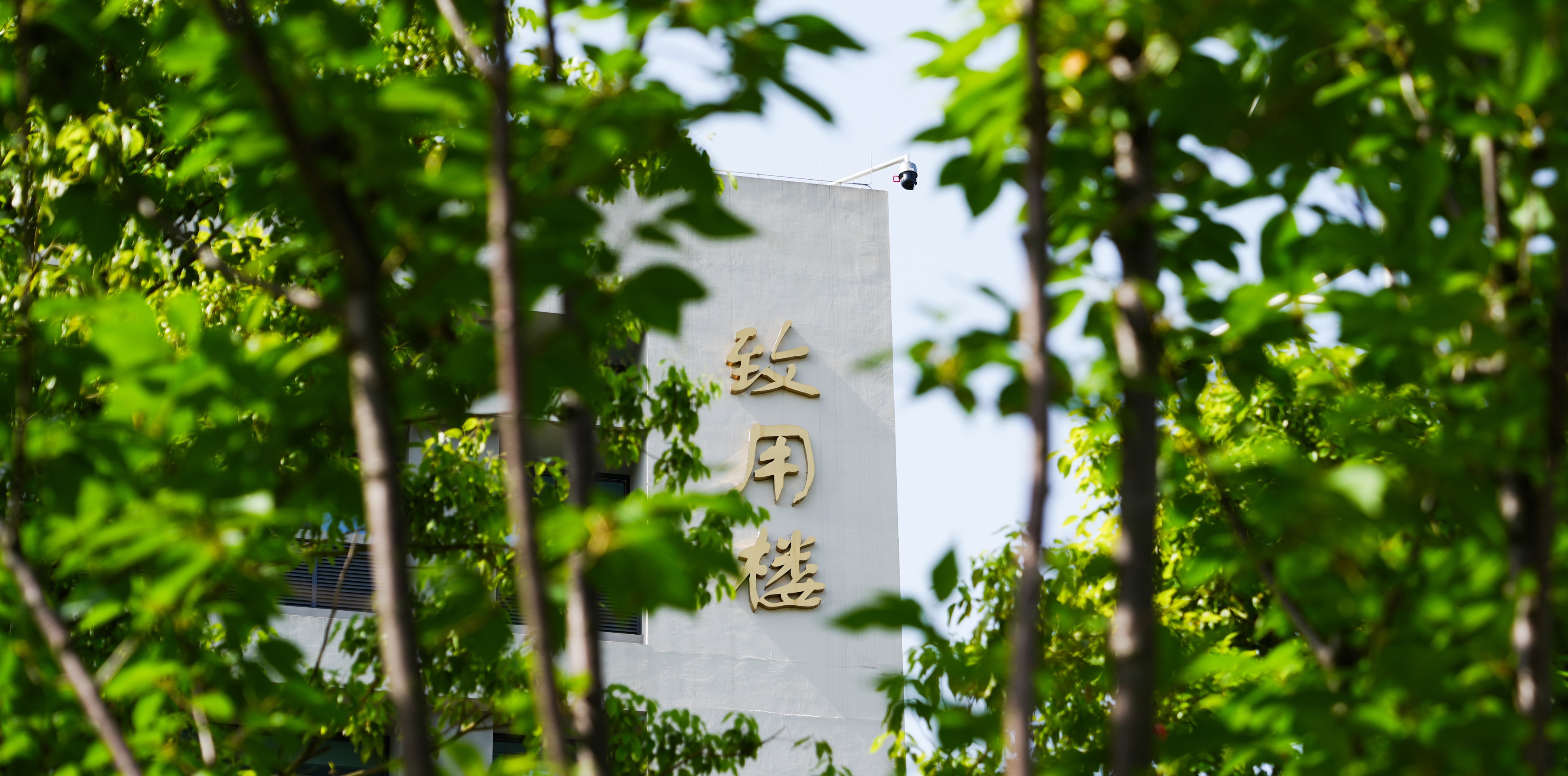 大学城校区-致用楼